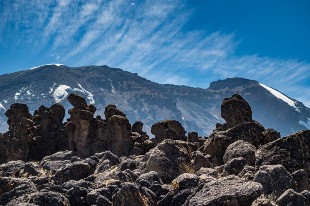 Kilimanjaro