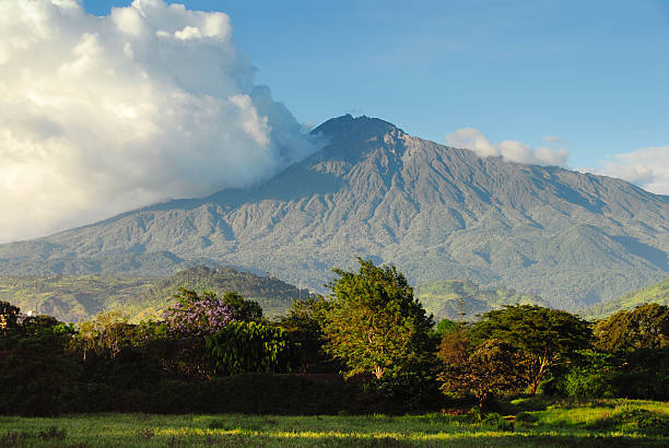 Kilimanjaro